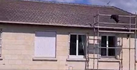 traitement hydrofuge