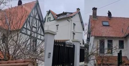 nettoyage toiture le vesinet 78