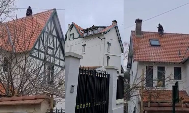 nettoyage toiture le vesinet 78